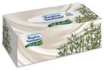 Regina Servetele Regina Soft Bamboo, 4 straturi, biodegradabile, albe, set 96 bucati