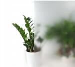 Dc-fix Furnér matt fólia üvegre méteráru 90cm. x 15 m (216-5004)