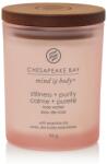 Chesapeake Bay Stillness & Purity 96 g