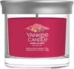 Yankee Candle Santa On Skis 122 g