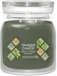 Yankee Candle Olive & Cypress 368 g