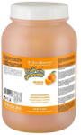 Iv San Bernard Sampon Iv San Bernard Orange, pentru caini si pisici, 3250 ml