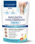 INTERHERB Kollagén Hyaluronsav Protect Por Eper-Banán Ízű 290 g