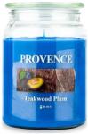 UTC Ароматна свещ TEAKWOOD PLUM 510g 85-95 ч (UT0288)