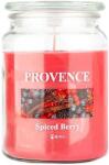 UTC Ароматна свещ SPICED BERRY 510g 85-95 ч (UT0290)