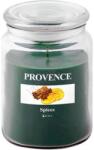 UTC Ароматна свещ SPICES 510g 85-95 ч (UT0275)