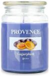 UTC Ароматна свещ SUGARPLUM 510g 85-95 ч (UT0287)