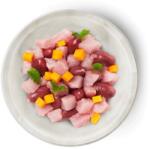 Terra Faelis Kitten Chicken & Turkey 70 g