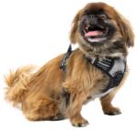 Ferplast Vigor Tréning hám kutyáknak - grey, S