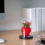 Vog und Arths Műnövény dekoráció - bordó szív - 11 x 18 cm