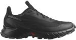 Salomon Маратонки Salomon Alphacross 5 GTX Women's Running Shoes - Black/Black