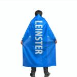 Official Шапка Official Flag Cape - Leinster