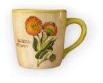BögreManufaktúra Orvosi Körömvirág bögre Calendula Officinalis