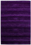 Ayyildiz Sötétlila szőnyeg 160x230 cm Plus - Ayyildiz Carpets