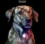 Visions In Clouds Are You Still. . -Digi-