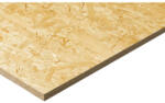 OSB lap 10-es 10x1250x2500mm 3, 125m2/tábla (09038/0040)