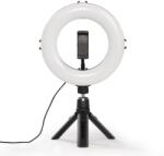 Hama SpotLight Smart 80 II körlámpa 96 LED (4657)