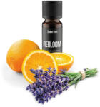 Stadler Form Rebloom 10 ml