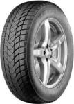 Pace Anvelope Pace Antarctica 5 205/65R15 94H Iarna