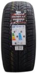 Arivo Anvelope Arivo CARLORFUL AS 215/55R17 98W (6938628287654)
