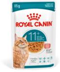 Royal Canin Ageing 11+ Gravy nedves macskatáp 85 g