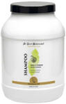 Iv San Bernard Sampon Iv San Bernard Green Apple, pentru caini si pisici, 3000ml
