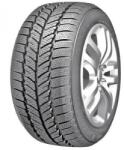 RoadX Roadx RXFROST-WH01 165/65/R14 79T iarna