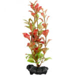 Tetra Decoart Plant S Műnövény 1 Red Ludwigia 15 cm