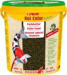 SERA 103443 KOI Color - Kerti tó haleledel 3800ml (930g) (103443) (103443)