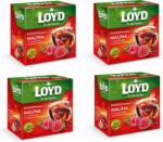 LOYD Tea Málna-Fahéj 20x2g (3103277) (3103277)