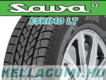 Sava Eskimo LT 215/60R17 109/107T téligumi