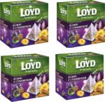 LOYD Tea Szilva-Fahéj 20x2g (3102337) (3102337)