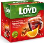 LOYD Tea Narancs-Fahéj 20x2g (3103191) (3103191)