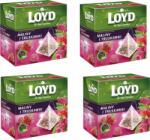 LOYD Tea Málna-Eper 20x2g (3102334) (3102334)