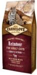 CARNILOVE Cat Adult Reindeer Energy & Outdoor- Rénszarvas Hússal 400g (VAT006428) (VAT006428)