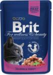 Brit Premium Cat 100 g Alutasakos Lazac+Pisztráng 100271 (8595602505999) (8595602505999)