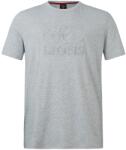 Canterbury Тениска Canterbury British and Irish Lions Monument T-Shirt 2024 Adults - Grey Marl