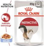 Royal Canin Instinctive zselében 12x85 g - 1.020 g