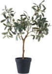 House Nordic Olajfa műnövény (magasság 61 cm) - House Nordic