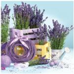  Levendula Indoors szalvéta 20 db-os 33x33 cm (PKK024267)
