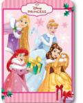  Disney Hercegnők Festive Fairy Karácsonyi polár takaró 100x140cm (FML370673) - sandori
