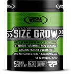 REAL PHARM RealPharm Size Grow Kreatin 675 g Blueberry (5902444701404)