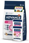 Affinity ADVANCE Veterinary Diets Cat Urinary, dietă veterinară, hrană uscată pisici, afecțiuni urinare ADVANCE VD Urinary, dietă veterinară pisici, sistem urinar, 1.5kg + ADVANCE VD Urinary, dietă veterinară 