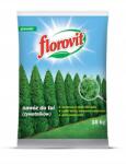 Grupa Inco Florovit Tui Műtrágya 10kg (FLOROVIT NAWÓZ DO TUI ŻYWOTNIKÓW 10)