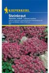 kiepenkerl Semințe de alyssum Violet (96585)