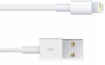  Cablu iPhone iPad 3 mini iPad iPod Touch 1m (034-005)