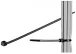 fixPOINT Bride plastic negru 2.5x200mm 100buc de interior-exterior fixPoint (17069)
