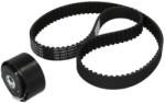 KAMOKA Set curea de distributie KAMOKA 7001081 (7001081)