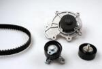 Hepu Set curea distributie Hepu PK03690 (HEPUPK03690)