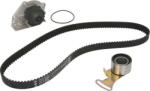 INA Set curea distributie INA 530 0242 30 (INA530024230)